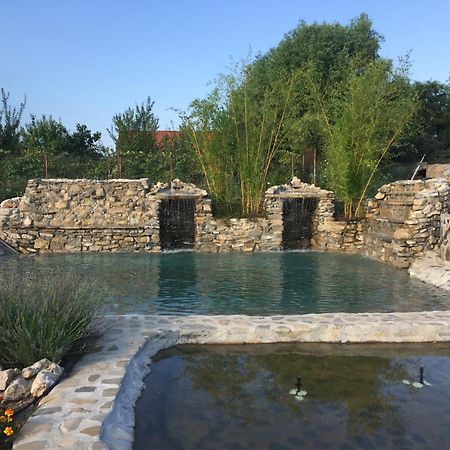 Country Spa Retreat Snagov Exterior foto The Roman bath