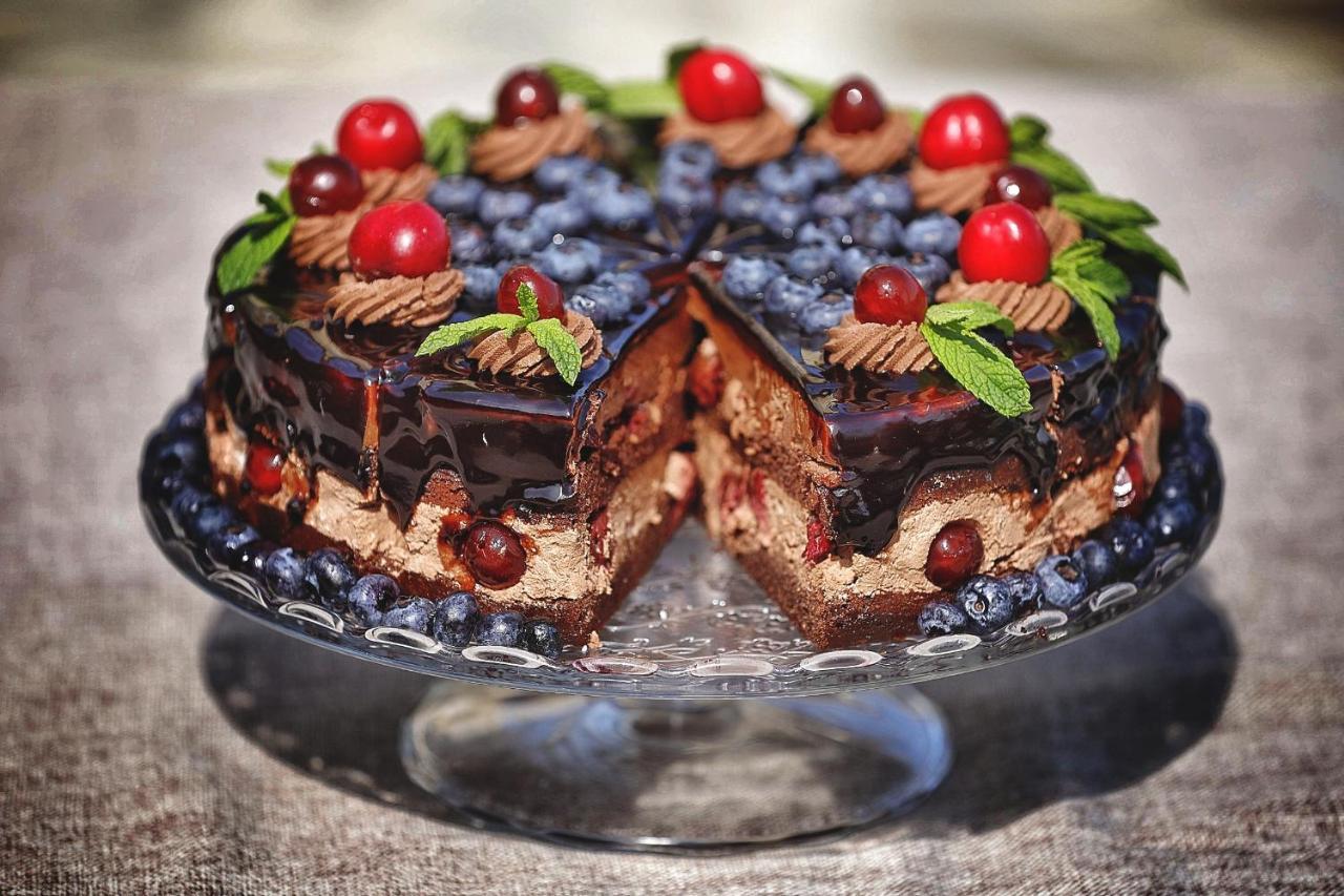 Country Spa Retreat Snagov Exterior foto A chocolate cake